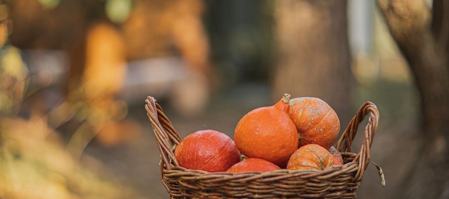 verduras de otoño